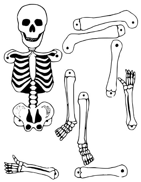 Printable Skeleton Template Cut Out Printable Templates
