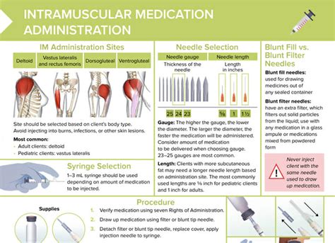 Intramuscular Injections Free Cheat Sheet Lecturio