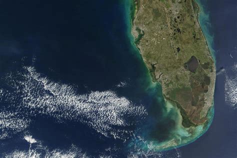 Massive Red Tide Threatens Florida Beaches Nbc News