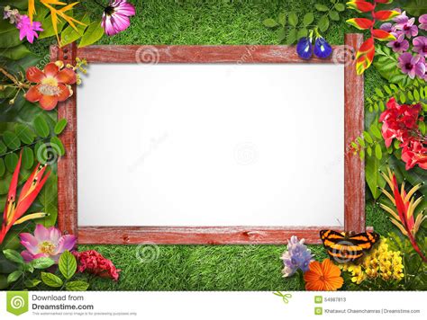 Nature Border With Flower And Green Leaf Stock Photo Image 54987813