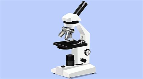 Pengertian Mikroskop Jenis Sejarah Macam Dan Fungsinya Kang Fappin Riset