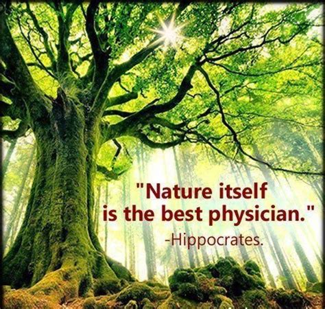 10 Natural Medicine Quotes Natural Medicine Quotes Nature Quotes