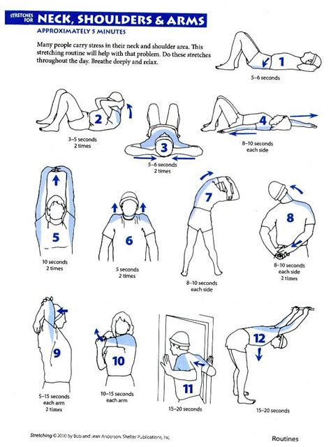 Stretches Post Workout Stretches Shoulder Stretches Neck Exercises