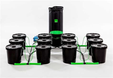 Hydroponic System Deep Water Culture ~ Here Aquaponics Simple