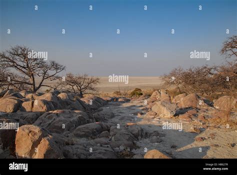 Desert Landscape In Africa Stock Photo Alamy