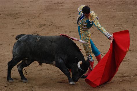 Bull Fighting Spain Bull Fight