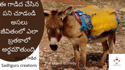 Telugu Stories The Brave Donkey The Farmer And The Donkey Moral