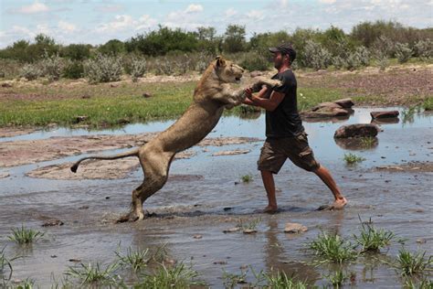 This Man Rescued A Lioness And Now Hes Teaching Her To Hunt