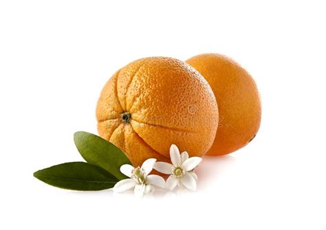Oranges With Leaves And Blossom On The White Background Stock Photo