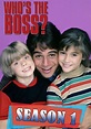 Who's the Boss? Season 1 - watch episodes streaming online