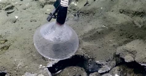 Spectacular Methane Hydrate Bubble Plumes Nautilus Live