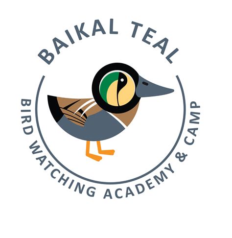 Baikal Teal Bird Watching Academy