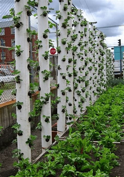 A Berry Good Plan 3 Effective Diy Strawberry Tower Tips For Home