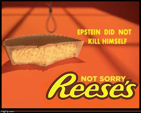 Reeses Not Sorry Imgflip