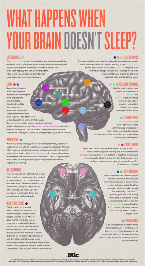This Is Your Brain On Sleep Deprivation Infographic Stemjobs