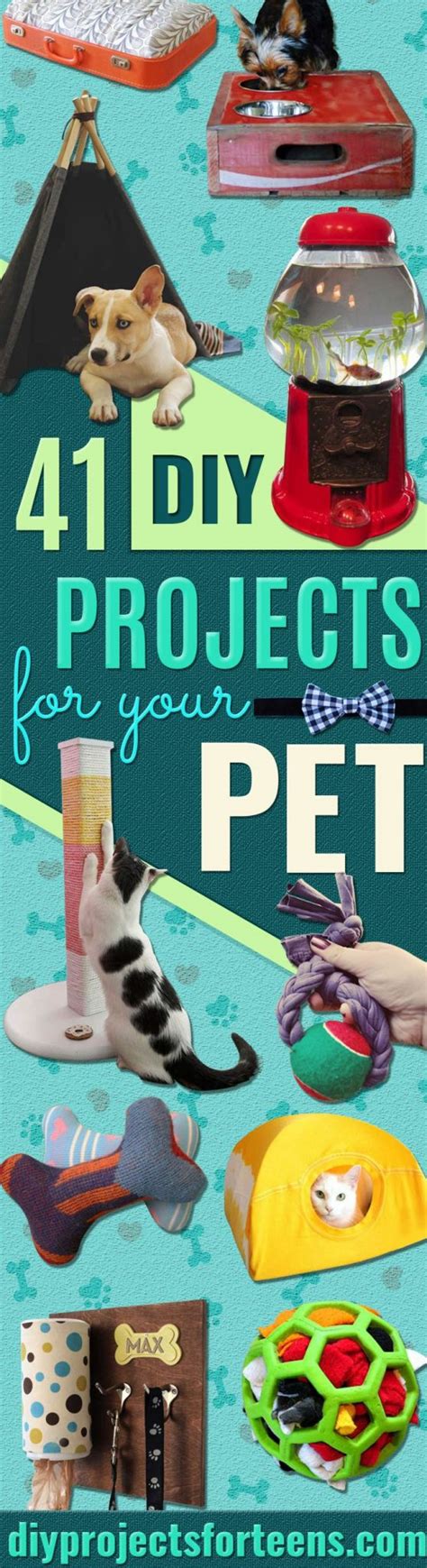 41 Crafty Diy Projects For Your Pet Diy Projects For Teens