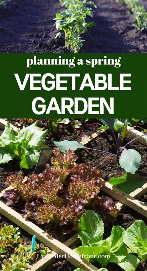 Planning A Spring Vegetable Garden Spring Vegetable Garden Spring