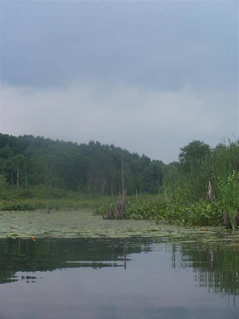 Lawson Lake County Park Andy