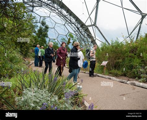Inside The Biomes Bio Domes At The Eden Project Bodelva Cornwall