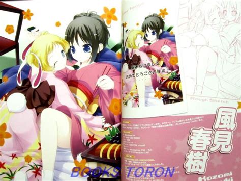 Bishoujo Illustrations New Year Collection W Cd Rom Japanese Anime