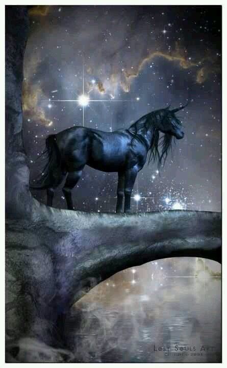 Black Unicorn Unicorn And Fairies Unicorn Fantasy Fantasy Horses