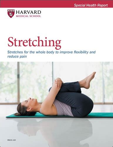 Stretching 35 Exercises To Improve Flexibility And Reduce Pain