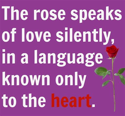 34 Amazing Red Rose Love Quotes Godfather Style