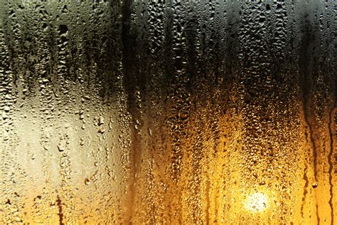 Condensation On Windows Free Photo Download Freeimages