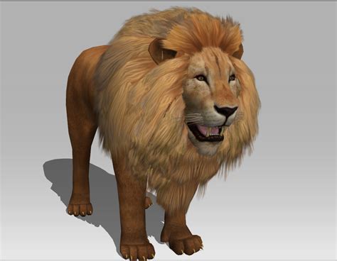 3d Lion 3d Model In Other 3dexport