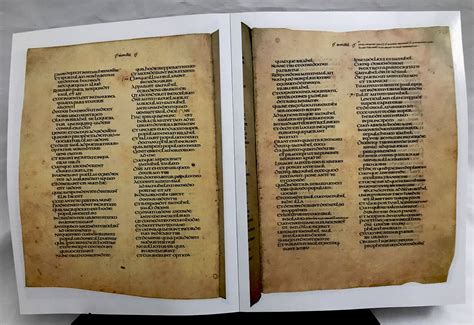 Codex Amiatinus Ad 688 713 — A P Manuscripts