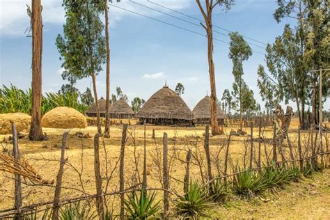 Traditional Houses In Ethiopia Africa Stock Photo Image Of Living