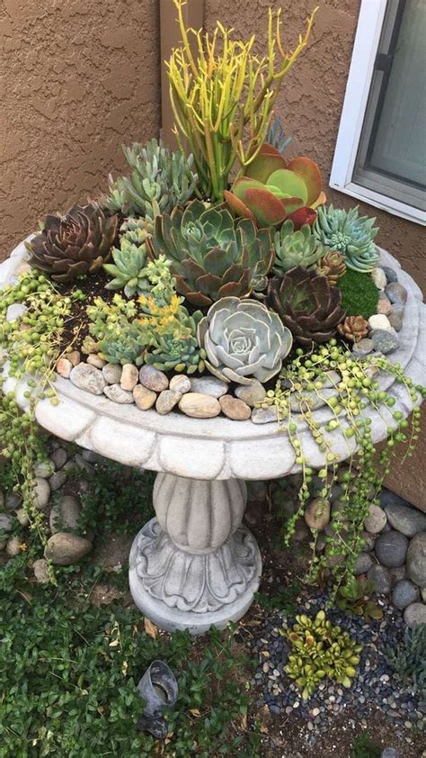 50 Gorgeous Succulent Garden Ideas For Your Backyard