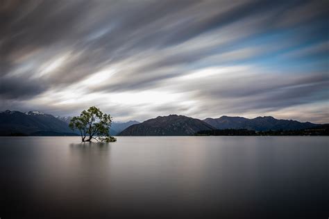 Pictures New Zealand Lake Wanaka Nature Mountains Trees