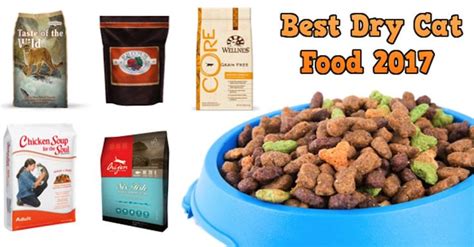 Check spelling or type a new query. Top 10 Best Dry Cat Food Brands For 2017 | Healthy cat ...