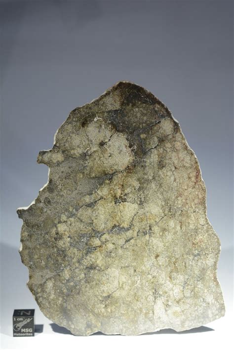 Nwa 12773 Eucrite Meteorite Full Slice Weighing 338g Msg Meteorites