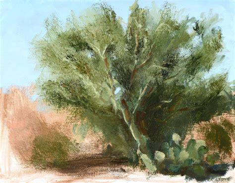 Palo Verde Study Robert Buehler Fine Art