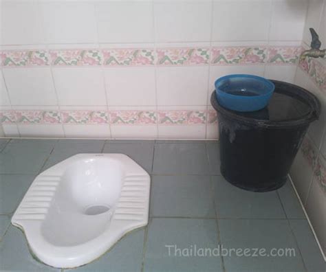 fajtalanság arányos torok squat toilet bowl támaszkodni választási lehetőség átfúr