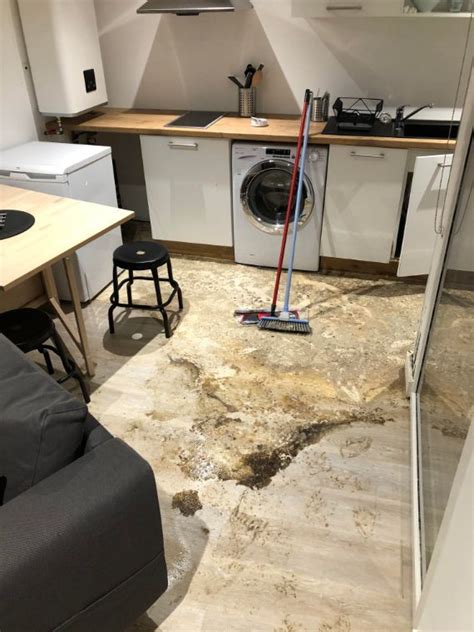 We did not find results for: Nettoyage dégât des eaux chez un particulier dans le ...