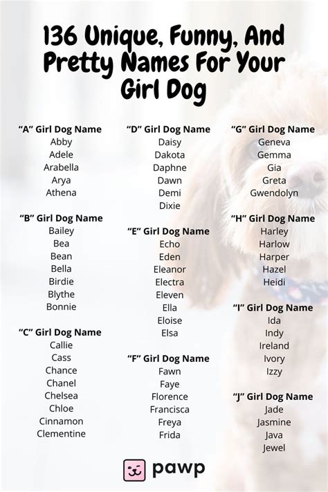 136 Unique Funny And Pretty Names For Your Girl Dog Girl And Dog