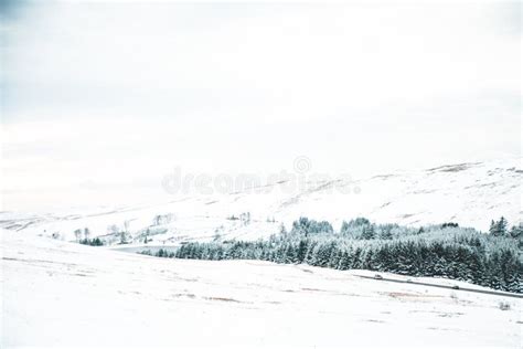Beautiful Scenery Of White Hills And Forests In The Countryside During