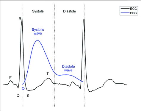 Systole And Diastole In Ecg And Ppg The O″ Stands For The Onset In