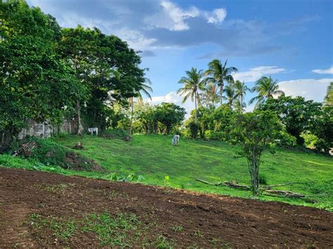 Farm Lot For Sale In Cavite Near Tagaytay Lot April In