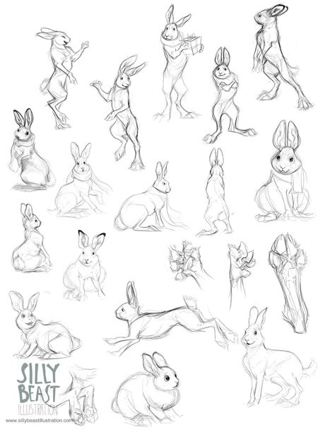 Animal Drawings Rabbit Drawing Drawings