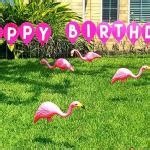 Birthday Flamingos Meme Generator Imgflip