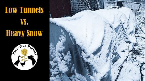Low Tunnels Vs Heavy Snow How To Keep Your Tunnels From Collapsing