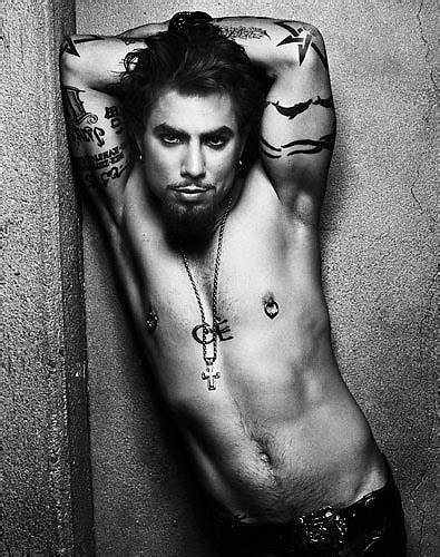 Dave Navarro Red Hot Chili Peppers Wiki