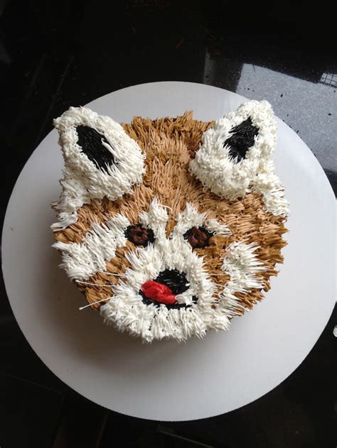 Barometric pressure is often expressed in one of several units, including pascals (pa), millimeter of mercury (mmhg) traditional barometers have a dial, much like your speedometer. Amazing Red Panda Cake | Bored Panda