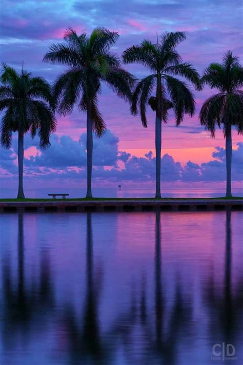 Purple Dusk Miami Ocean Beach Beach Sunset Sunrise Sunset Beautiful