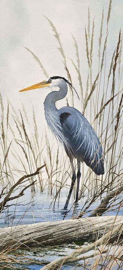 Herons Natural World By James Williamson Heron Art Nature Art Prints