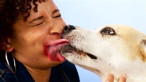 Why Do Dogs Lick Their Lips When You Talk To Them